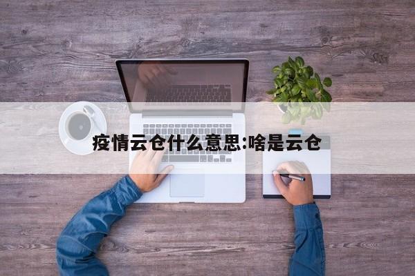 疫情云仓什么意思:啥是云仓