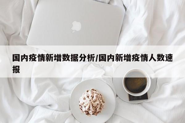 国内疫情新增数据分析/国内新增疫情人数速报