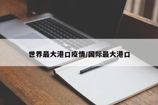 世界最大港口疫情/国际最大港口