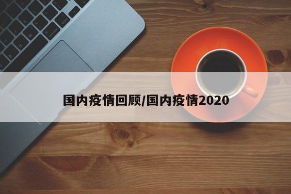 国内疫情回顾/国内疫情2020